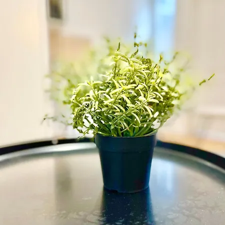 - - Centre Historique - Tout Confort - Internet Fibre