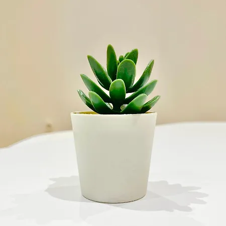 Apartment - - Centre Historique - Tout Confort - Internet Fibre *