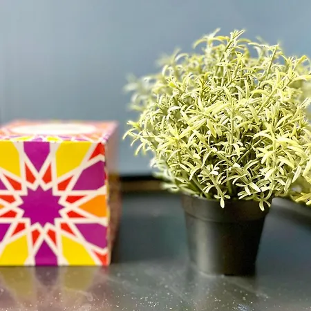 Apartment - - Centre Historique - Tout Confort - Internet Fibre Rouen