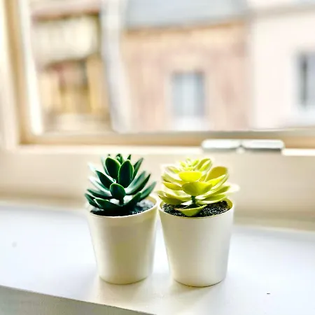 - - Centre Historique - Tout Confort - Internet Fibre *