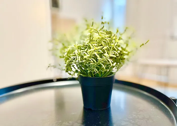 - - Centre Historique - Tout Confort - Internet Fibre