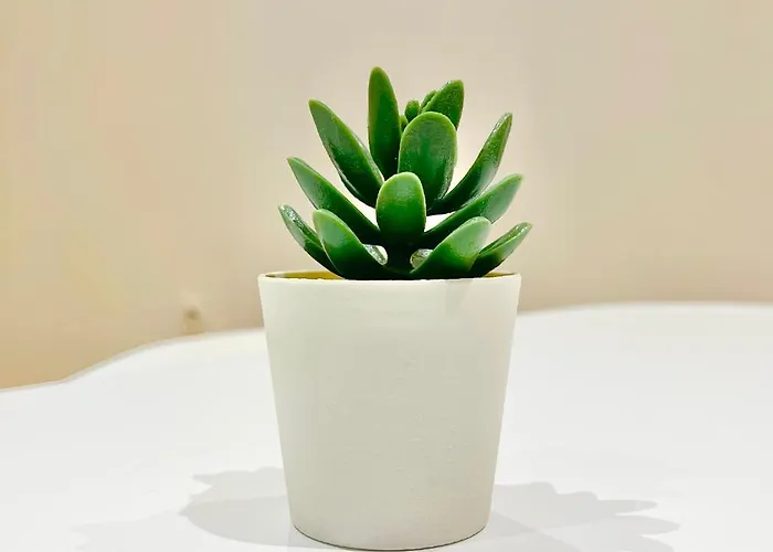 Daire - - Centre Historique - Tout Confort - Internet Fibre *