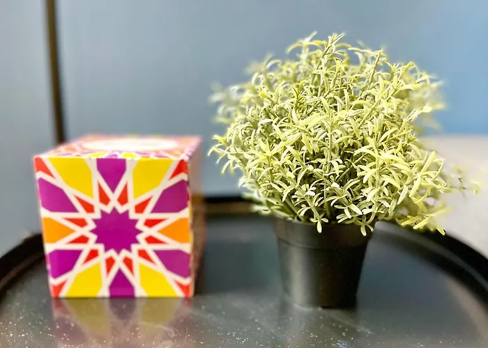 Apartment - - Centre Historique - Tout Confort - Internet Fibre Rouen